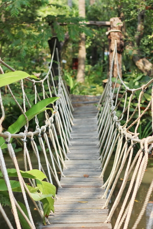 small rope bridge in the forestの写真素材