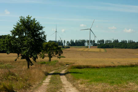 road among the fields to wind turbines against the background of trees, fields with grain, meadow on a sunny dayの写真素材