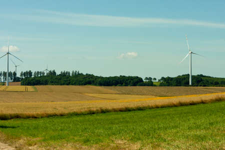 wind turbines against the background of trees, fields with grain, meadow on a sunny dayの写真素材