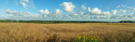 landscape panorama, in the background wind farms, fields, forest, grainの写真素材