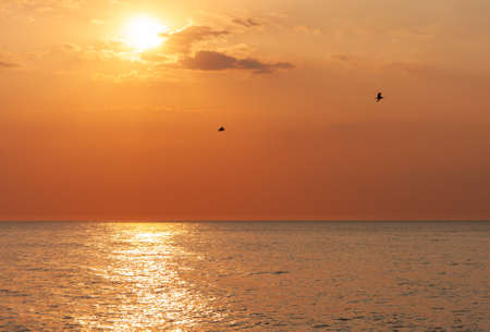 beautiful sunset over the Baltic Sea. In the background, 2 birds against the golden-orange skyの写真素材