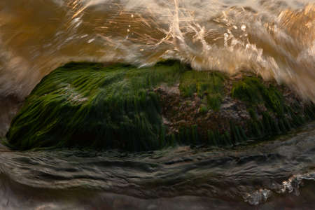a large stone overgrown with green algae, on the seashore, washed by the wavesの写真素材