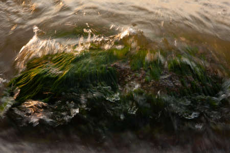a large stone overgrown with green algae, on the seashore, washed by the wavesの写真素材