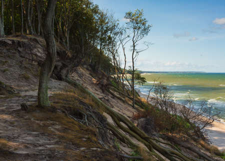 Sea landscape, the view from the cliff, the shore covered with trees, sunny day, some clouds in the blue sky, small wavesの写真素材