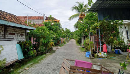 A large asphalt road in the middle of the countryside, and there are several houses of local residents, Kuluran Village, Lamongan Regencyの写真素材