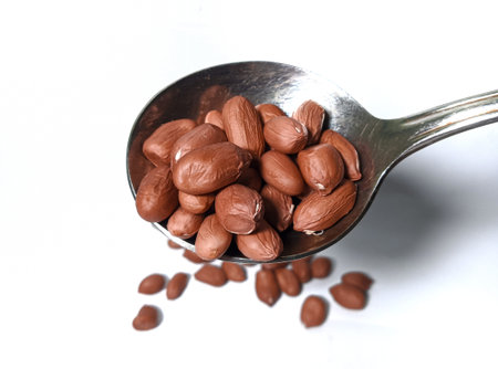 Close up. Peeled brown beans with stainless steel spoon isolated on white backgroundの写真素材