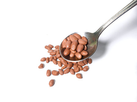 Close up. Peeled brown beans with stainless steel spoon isolated on white background