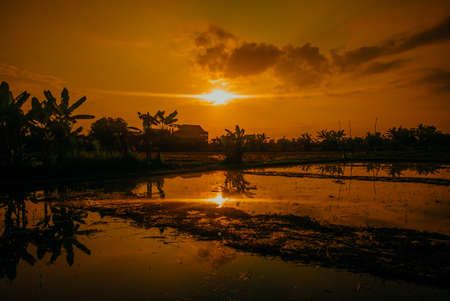 beautiful silhouette view in the morning at sunrise with beautiful reflections on the lake and beautiful rural nature atmosphereの写真素材