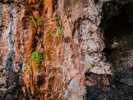texture of the side of a mountain cliff and overgrown with grass. Hill cliff stone texture backgroundの写真素材