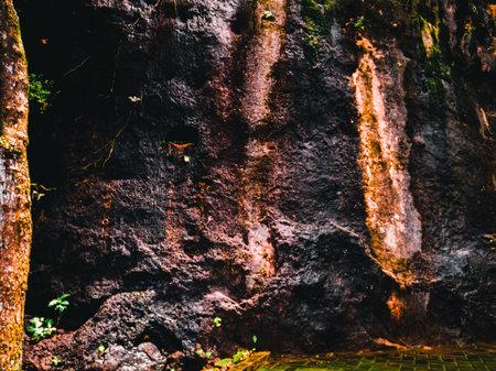 texture of the side of a mountain cliff and overgrown with grass. Hill cliff stone texture...