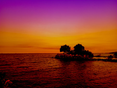 panoramic view of the orange and purple sunset sky on the beach, sea water and silhouettes of black trees that grow above the sea. focus on treeの写真素材