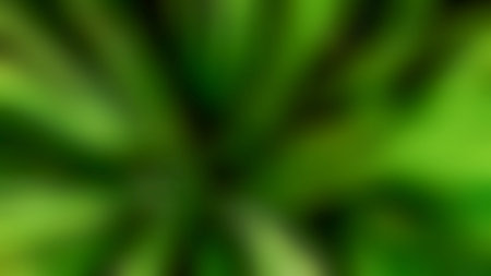 blurred foliage abstract background, dark green color, nature background for templateの写真素材
