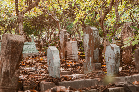 Concept a graveyard with some cemetery tombstones on the ground with some trees around. Graveyard with depressive brown color tone. Focus on the tombstones. Similar othersの写真素材