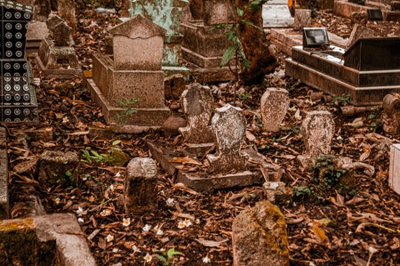 Concept a graveyard with some cemetery tombstones on the ground with some trees around. Graveyard...