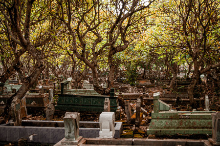 Concept a graveyard with some cemetery tombstones on the ground with some trees around. Graveyard with depressive brown color tone. Focus on the tombstones. Similar othersの写真素材