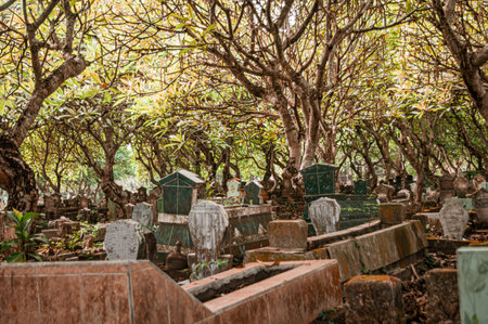 Concept a graveyard with some cemetery tombstones on the ground with some trees around. Graveyard with depressive brown color tone. Focus on the tombstones. Similar othersの写真素材