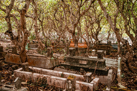 Concept a graveyard with some cemetery tombstones on the ground with some trees around. Graveyard with depressive brown color tone. Focus on the tombstones. Similar othersの写真素材