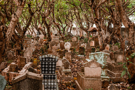 Concept a graveyard with some cemetery tombstones on the ground with some trees around. Graveyard...