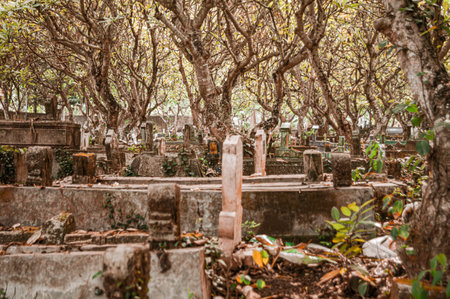 Concept a graveyard with some cemetery tombstones on the ground with some trees around. Graveyard with depressive brown color tone. Focus on the tombstones. Similar othersの写真素材