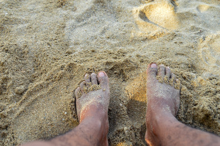 Feet on the sandy beach, filled with sand. Focus on feet.の写真素材