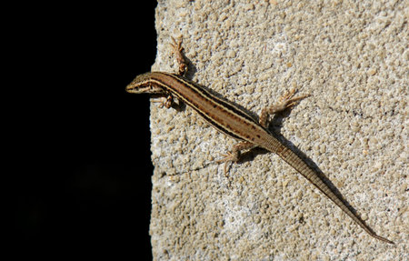 Come to the dark sideの写真素材