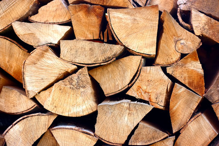 Shot of a pile of cut tree trunks ideal for backgrounds and textures 