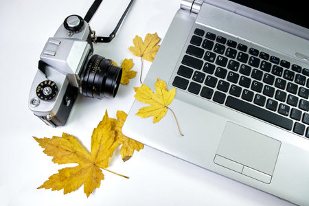 Laptop with leaf and camera on a white background