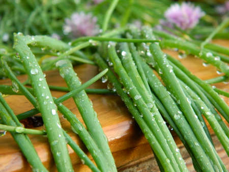 Dewdrops on a Chive plantsの写真素材