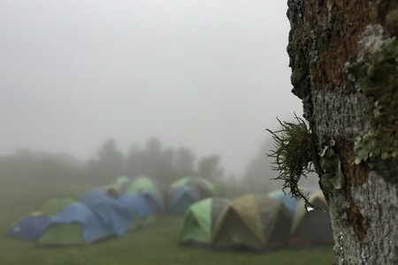 campingの写真素材