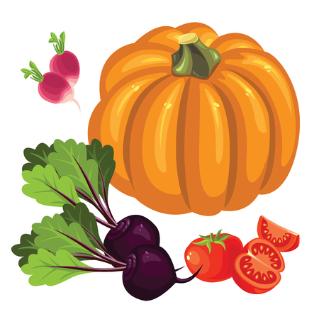 Set of vegetables. Tomato and slice tomato, radishes, pumpkin and beetroot.のイラスト素材