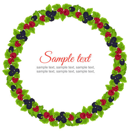 Frame with blackberry and raspberry on white backgroundのイラスト素材
