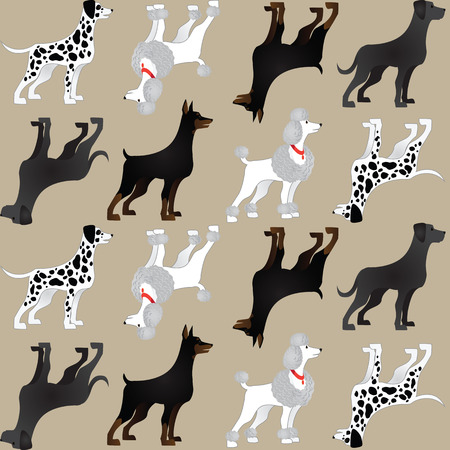 Pattern with different breeds of dogs on color backgroundのイラスト素材