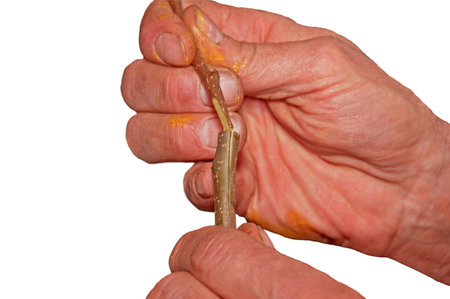 This photo shows a closeup of a man