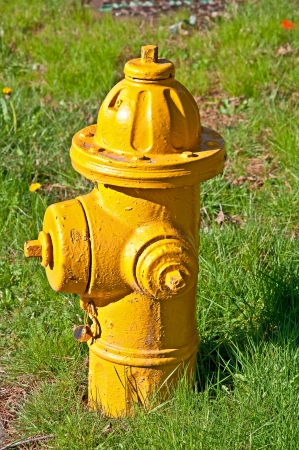 This is a closeup of a plain yellow fire hydrant in a vertical format with grass   Fairly freshly painted, cut still some cracks and dents in the paint の写真素材
