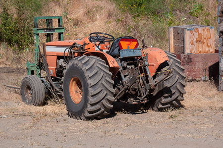 Rural farm tractor fork lift and bins ready for fruit harvesting in this agriculture image.  This machinery is ready for the harvest and wood bins are stacked and gathered.の写真素材