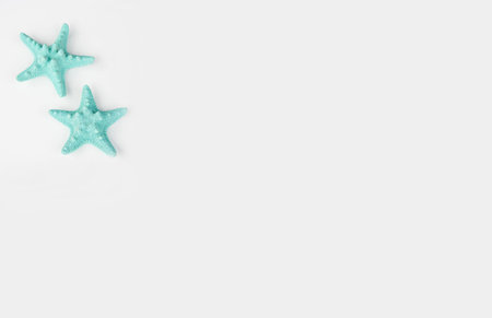 Aqua starfish off white copy space for text or graphics for signs, posters, mockups.の写真素材