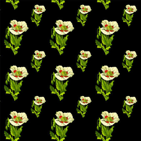 Yellow poppy flowers seamless pattern on black background, 12x12 digital paper for backdrops and design elements.の写真素材
