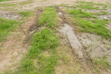 wheel traces on soil ground