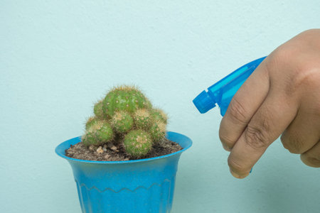 hand use foggy watering a plant.の写真素材