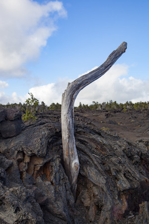 Hawaii's Big Island lava landscapeの写真素材