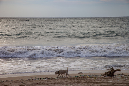 Bali, Indonesia Landscape of seaの写真素材