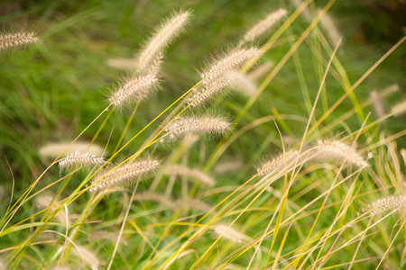 Seoul, Republic of Korea, Seoul Forest Landscape