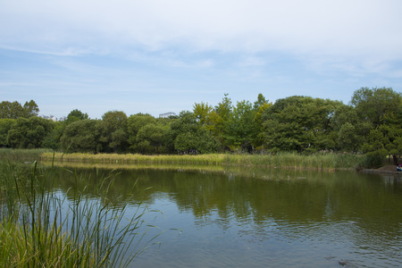 Seoul, Republic of Korea, Seoul Forest Landscapeの写真素材