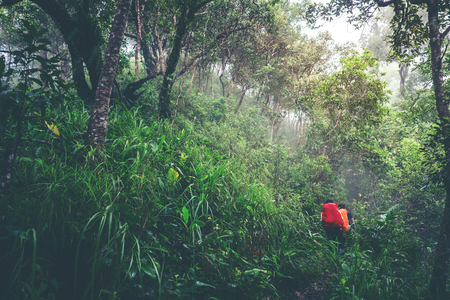 Tourist trail hiking in the forest Traveler with backpack crossing the mountainの写真素材