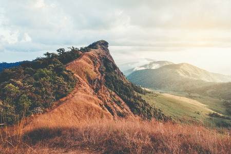 Mountainous Sunset and forest landscapeの写真素材