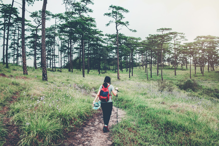 Tourist trail hiking in the forest Traveler Woman with backpack crossing the mountainの写真素材
