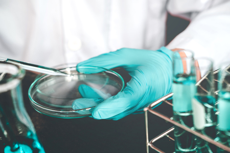 Scientist dropping chemical liquid to Petri dish in lab Glass laboratory chemical test,Laboratory research conceptの写真素材