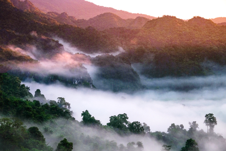 Fog Mountain in morning at Phu langka viewpoint, Phayao, Thailandの写真素材