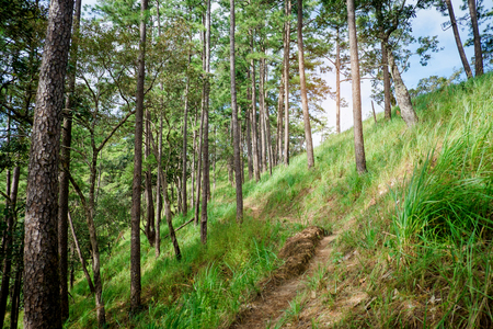 Doi Luang Chiang Dao Province Chiang Mai Thailand landscapeの写真素材