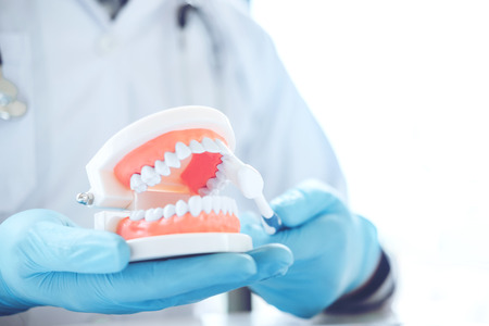 Dentist learning how to brush teethの写真素材